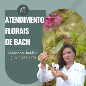 Consulta Florais de Bach Online